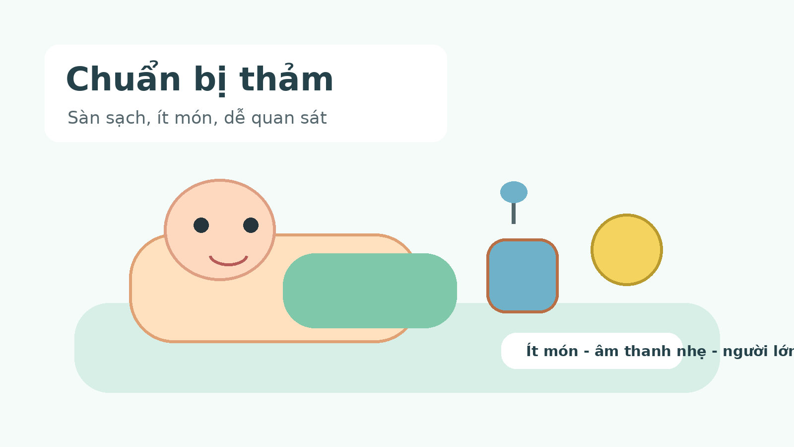 Cha mẹ chuẩn bị thảm sạch, đồ chơi mềm và ít món trước giờ chơi của bé