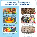 tải xuống (1).webp