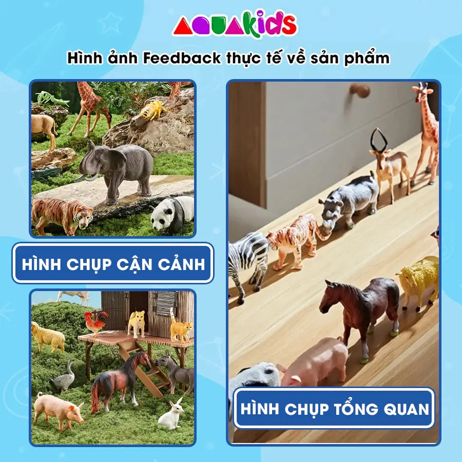 tải xuống (1) (3).webp