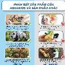 đổi_qc_store_thành_AQUAKIDS_202605211019.webp