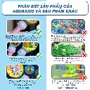 Đèn pin chiếu hình (8).webp
