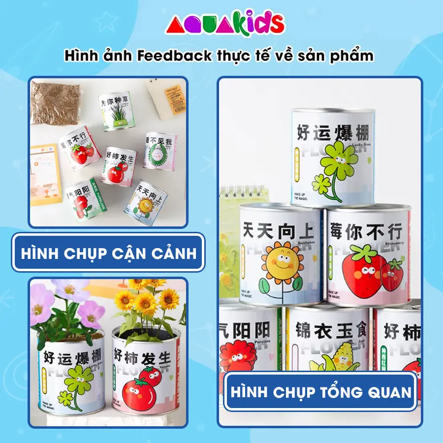 kit trồng cây (6).webp