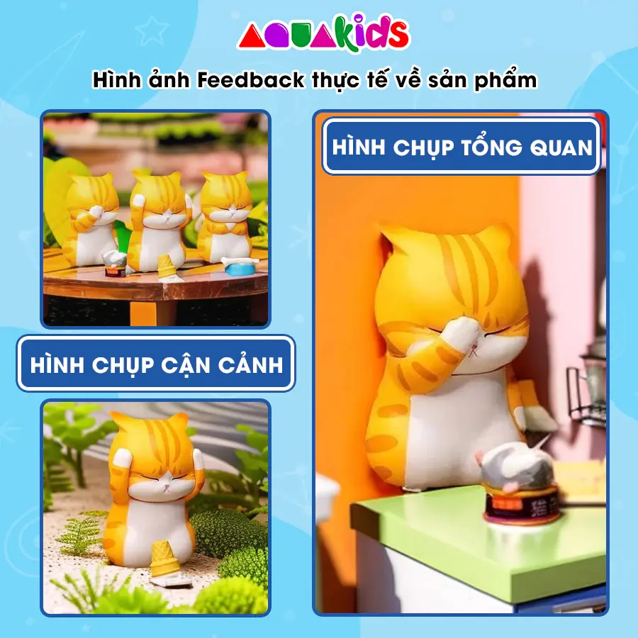 hình-ảnh-feedback-meo-bat-luc.webp