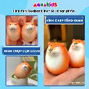 squishy cho-shiba-inu-feedback.webp