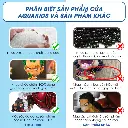 tải xuống (4).webp