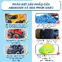 tải xuống (1).webp