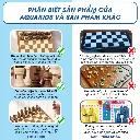 tải xuống (29).webp