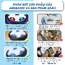 tải xuống (35).webp