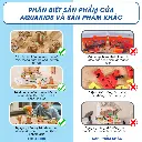 tải xuống (43).webp