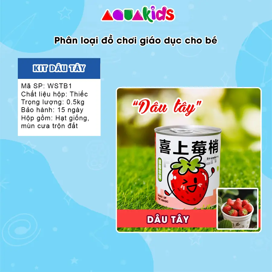 Bộ Kit trồng cây hạt giống trồng hoa mini cho bé nghiên cứu trải nghiệm làm nông đồ chơi giáo dục sớm Stem AquaKids